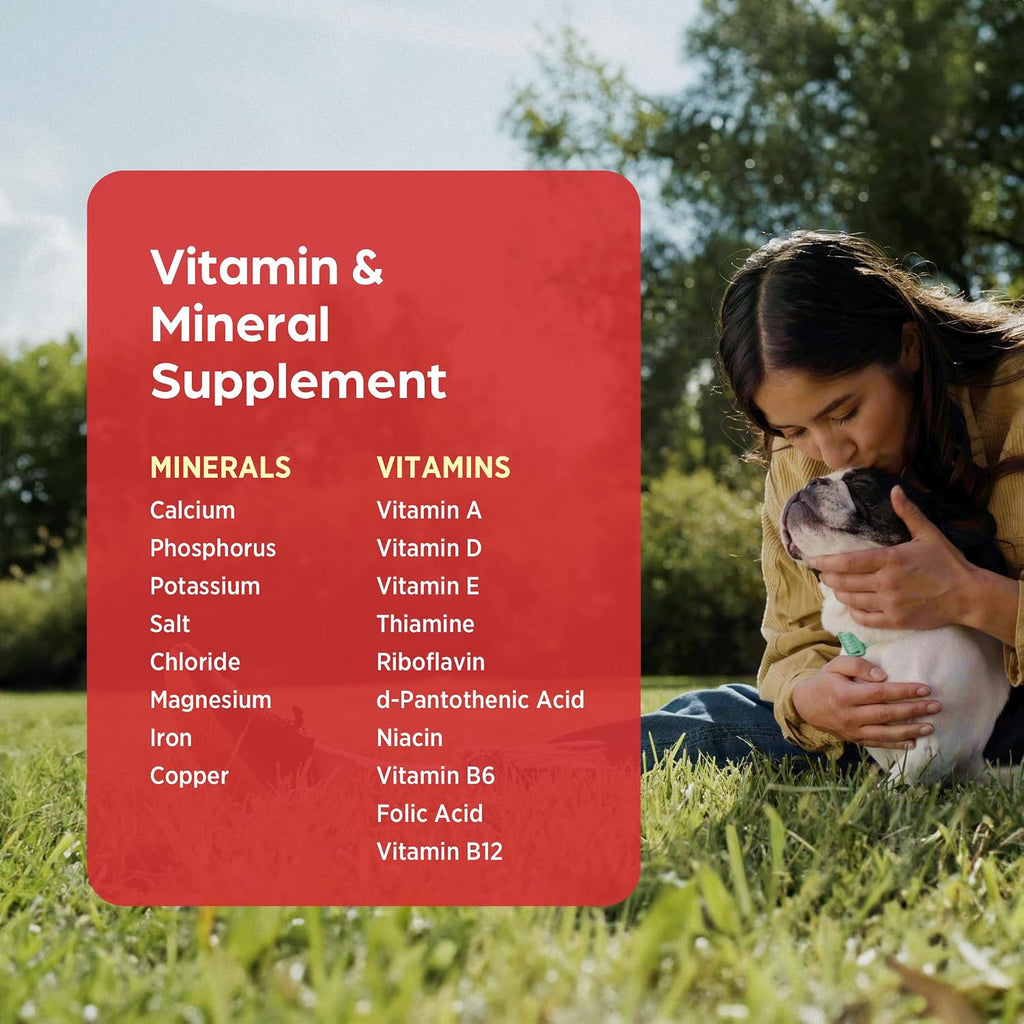 Vi-Sorbits Hierro y Vitaminas Suplemento Diario para Perros, Comprimidos Masticables Sabor a Carne, 200 Unidades