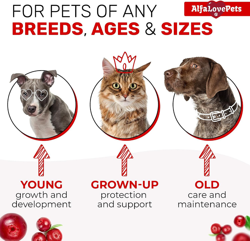 Multivitamínico Líquido para Perros y Gatos - 10 en 1 con Vitaminas B, C, D3, Glucosamina y Arándano - Sabor Arándano - 2 oz