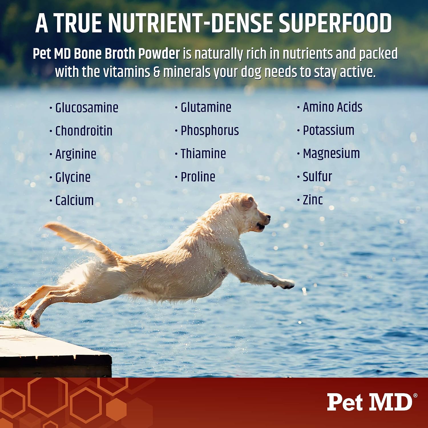 Pet MD Caldo de Huesos para Perros - Topper de Comida con Vitaminas y Aminoácidos - 113 g (4 oz)