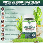 EnvyCure Gominolas de Musgo Marino Sin Azúcar - 2 Paquetes (60 Gominolas) con Yodo, Vitamina D3 y Vinagre de Manzana
