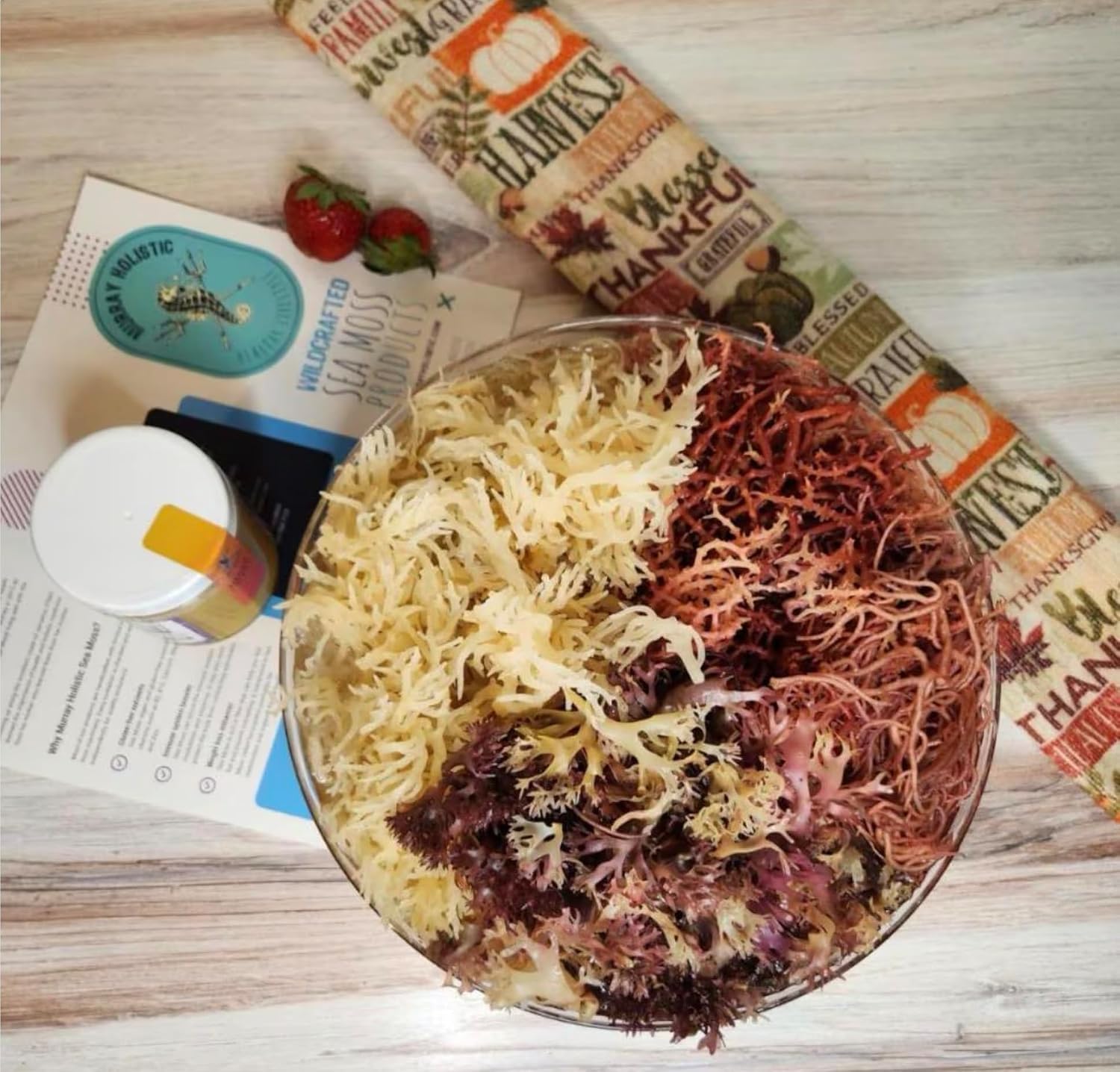 Premium Chondrus Crispus (Irish Moss) del Océano Atlántico Norte | Superalimento Natural | Cosecha Sostenible