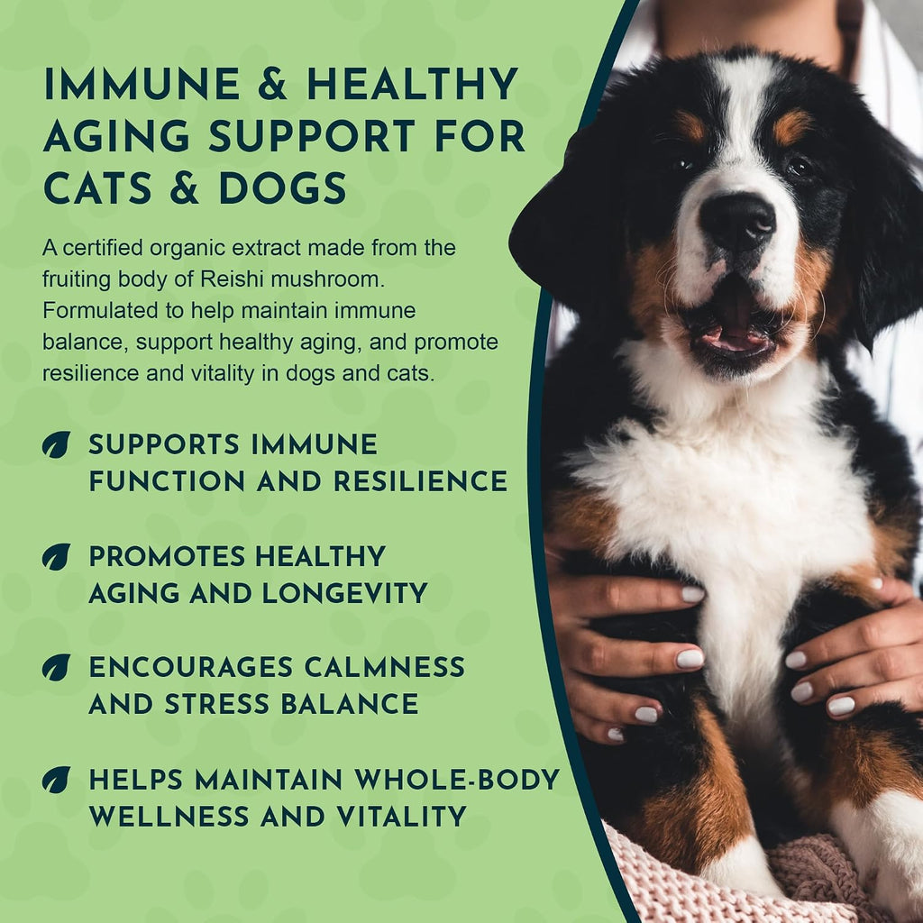 Animal Essentials Longevity Suplemento de Hongo Reishi para Perros y Gatos - Extracto en Polvo, Salud Cardiovascular y Hepática, Antioxidante - 50g