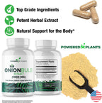 Onion Bulb Extract 1000mg – Pure All Natural Onion (Allium Cepa) Dried Bulb – 120 Cápsulas