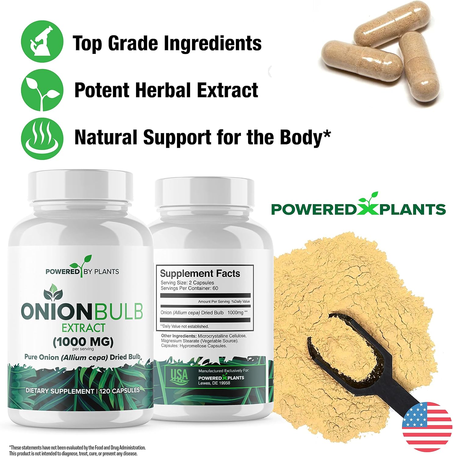 Onion Bulb Extract 1000mg – Pure All Natural Onion (Allium Cepa) Dried Bulb – 120 Cápsulas
