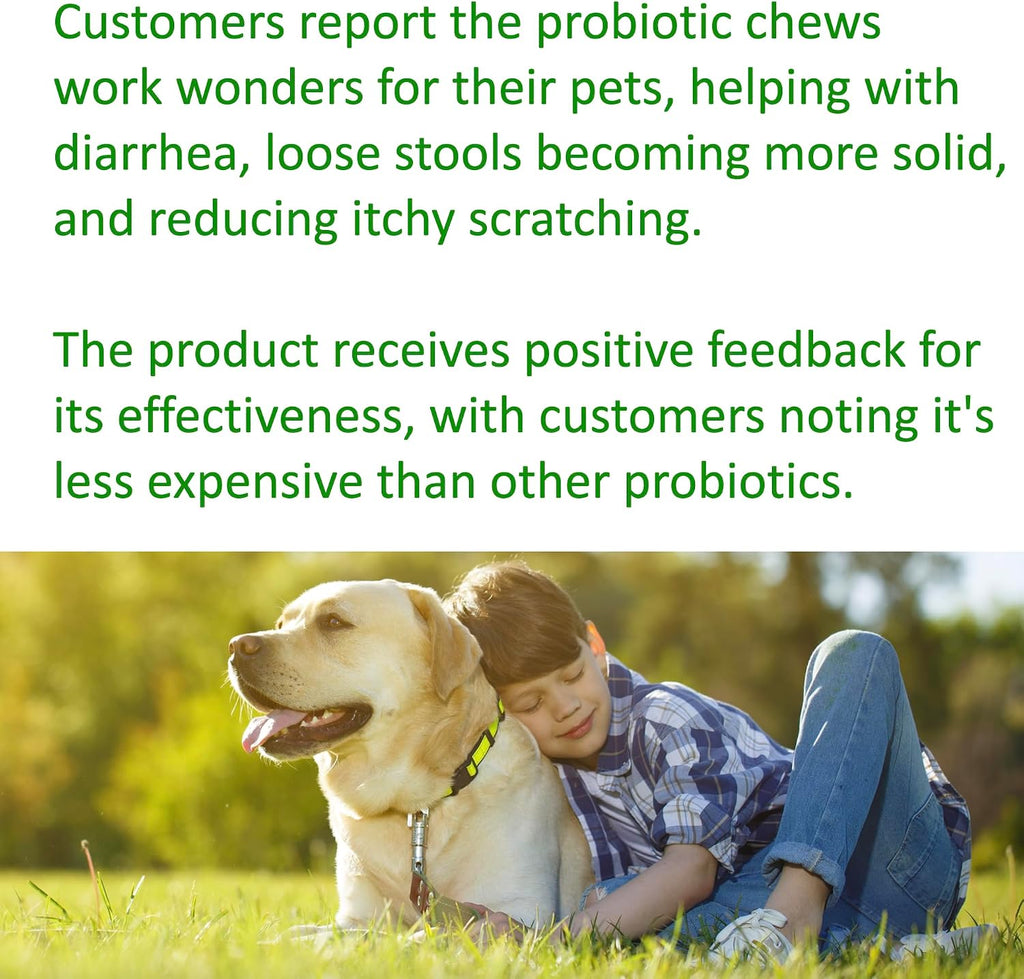TummyWorks Probióticos para Perros - 120 Masticables Suaves para la Salud Digestiva, Intestinal, Inmunidad, Energía, Alergias, Piel y Pelaje - 10 Cepas, 5 mil millones de UFC con 6 Enzimas
