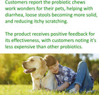 TummyWorks Probióticos para Perros - 120 Masticables Suaves para la Salud Digestiva, Intestinal, Inmunidad, Energía, Alergias, Piel y Pelaje - 10 Cepas, 5 mil millones de UFC con 6 Enzimas