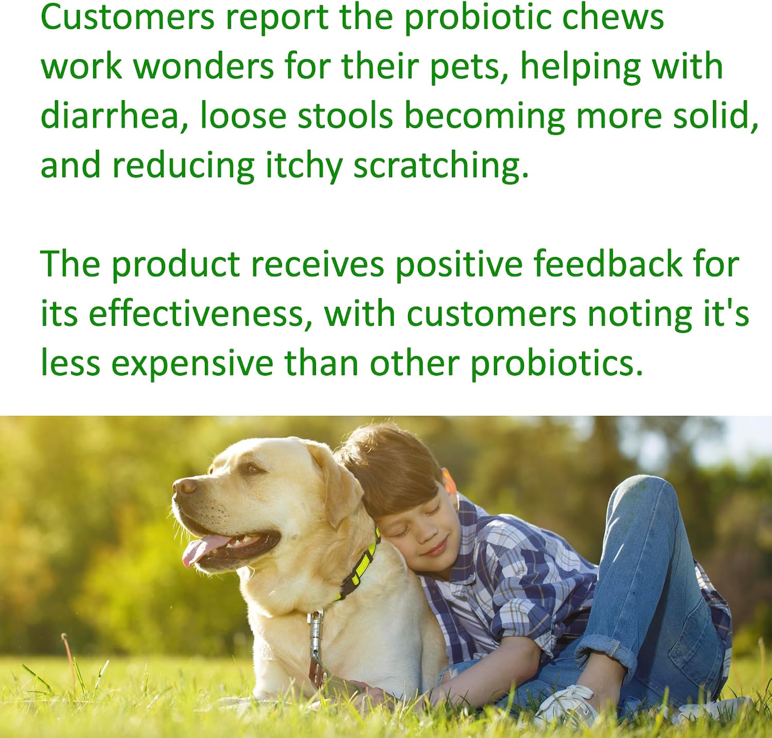 TummyWorks Probióticos para Perros - 120 Masticables Suaves para la Salud Digestiva, Intestinal, Inmunidad, Energía, Alergias, Piel y Pelaje - 10 Cepas, 5 mil millones de UFC con 6 Enzimas