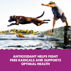Grizzly Aceite de Krill Antártico Salvaje - Suplemento Antioxidante Natural para Perros, 236 ml