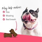 VetriScience Probiotic Everyday Masticables para Perros, Sabor Pato, 45 unidades