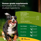 Rooted Owl® Suplemento de Hongos para Perros y Gatos - Apoyo Inmunológico - 60 Cápsulas