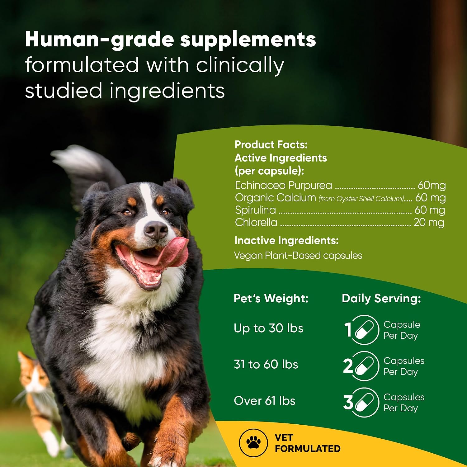 Rooted Owl® Suplemento de Hongos para Perros y Gatos - Apoyo Inmunológico - 60 Cápsulas