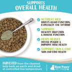 Raw Paws Kelp Orgánico en Polvo para Perros y Gatos - 454g