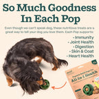 WOOF Pupsicle Refill Pops All-in-1 Health - Recambios Multivitamínicos para Perros - XL - 5 Unidades