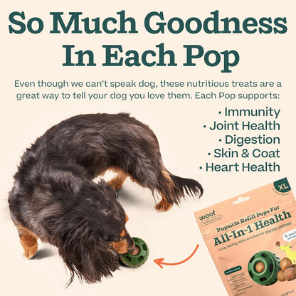 WOOF Pupsicle Refill Pops All-in-1 Health - Recambios Multivitamínicos para Perros - XL - 5 Unidades – Image 4