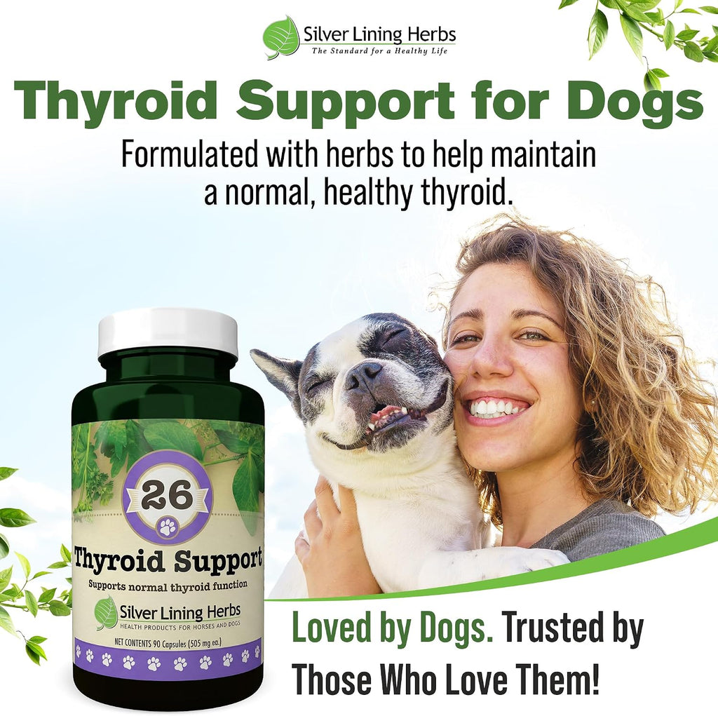 Suplemento Tiroideo Natural para Perros con Perejil, Ashwagandha, Jengibre, Cardo Mariano y Gordolobo - 90 Cápsulas