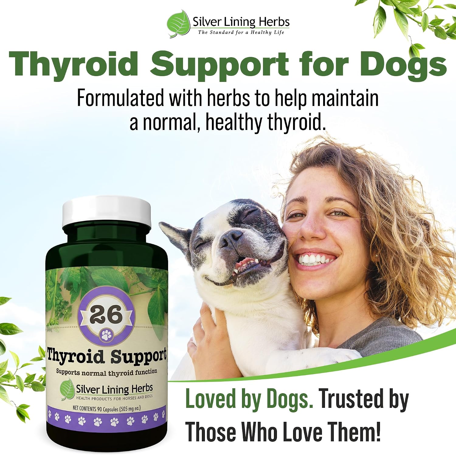 Suplemento Tiroideo Natural para Perros con Perejil, Ashwagandha, Jengibre, Cardo Mariano y Gordolobo - 90 Cápsulas