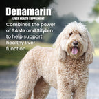 Nutramax Denamarin para Perros Grandes - Suplemento Hepático con SAMe y Silimarina, 30 Comprimidos