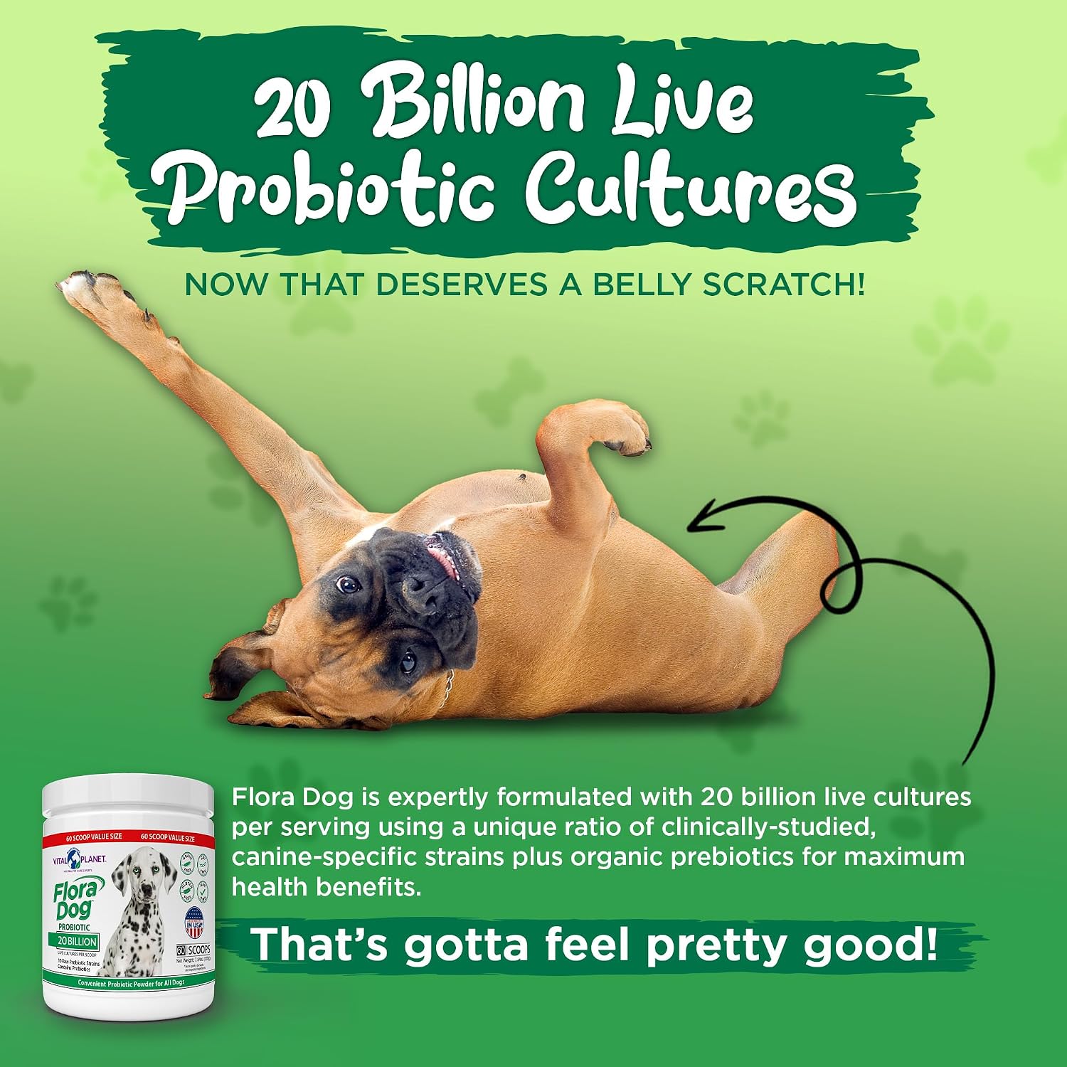 Vital Planet Flora Dog Probióticos en Polvo para Perros - 20 Mil Millones de UFC - 60 Dosis