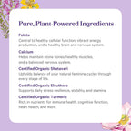 PURE SYNERGY Vita·Min·Herb para Mujeres - Multivitamínico completo para mujeres (120 comprimidos)