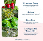 LifeSeasons B/P Stabili-T - Apoyo a la presión arterial - Suplemento para el corazón y la circulación - 240 cápsulas