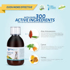 Aloeplus Jarabe para Perros 150ml - Complemento Energético y Detoxificante con Aloe Arborescens Orgánico
