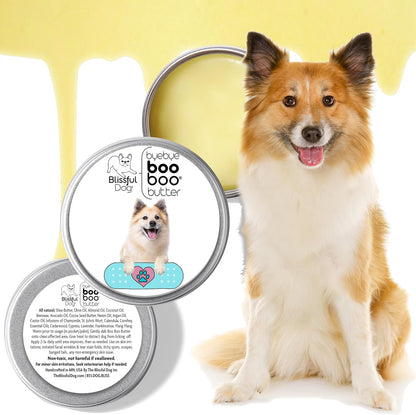 The Blissful Dog Icelandic Sheepdog Boo Boo – Aceite de oliva – Image 2