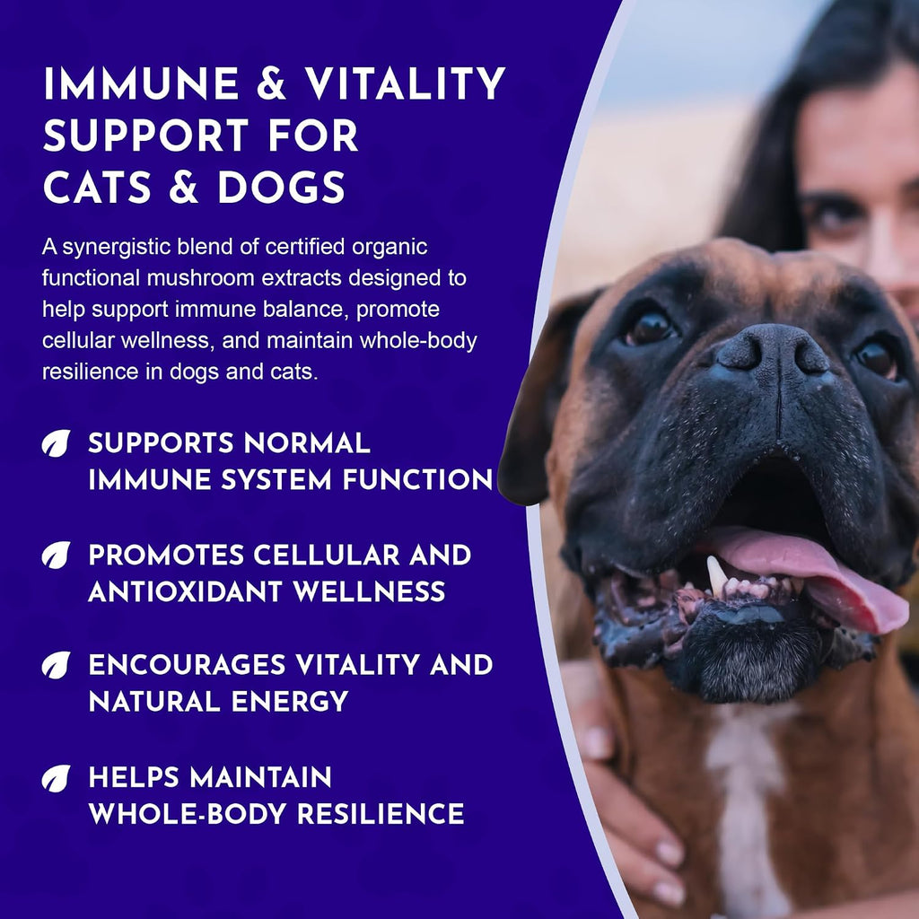 Animal Essentials MUSHROOM DEFENSE - Suplemento de setas para perros y gatos, extracto en polvo, 70g
