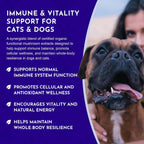 Animal Essentials MUSHROOM DEFENSE - Suplemento de setas para perros y gatos, extracto en polvo, 70g