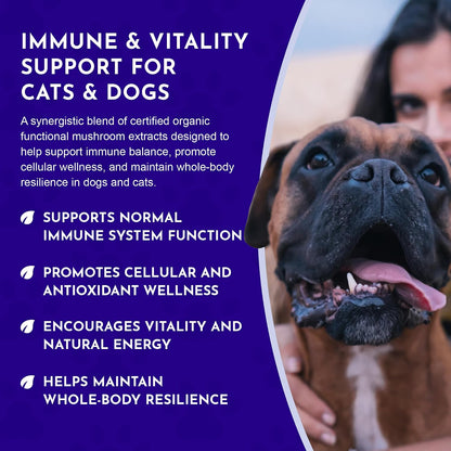 Animal Essentials MUSHROOM DEFENSE - Suplemento de setas para perros y gatos, extracto en polvo, 70g – Image 6