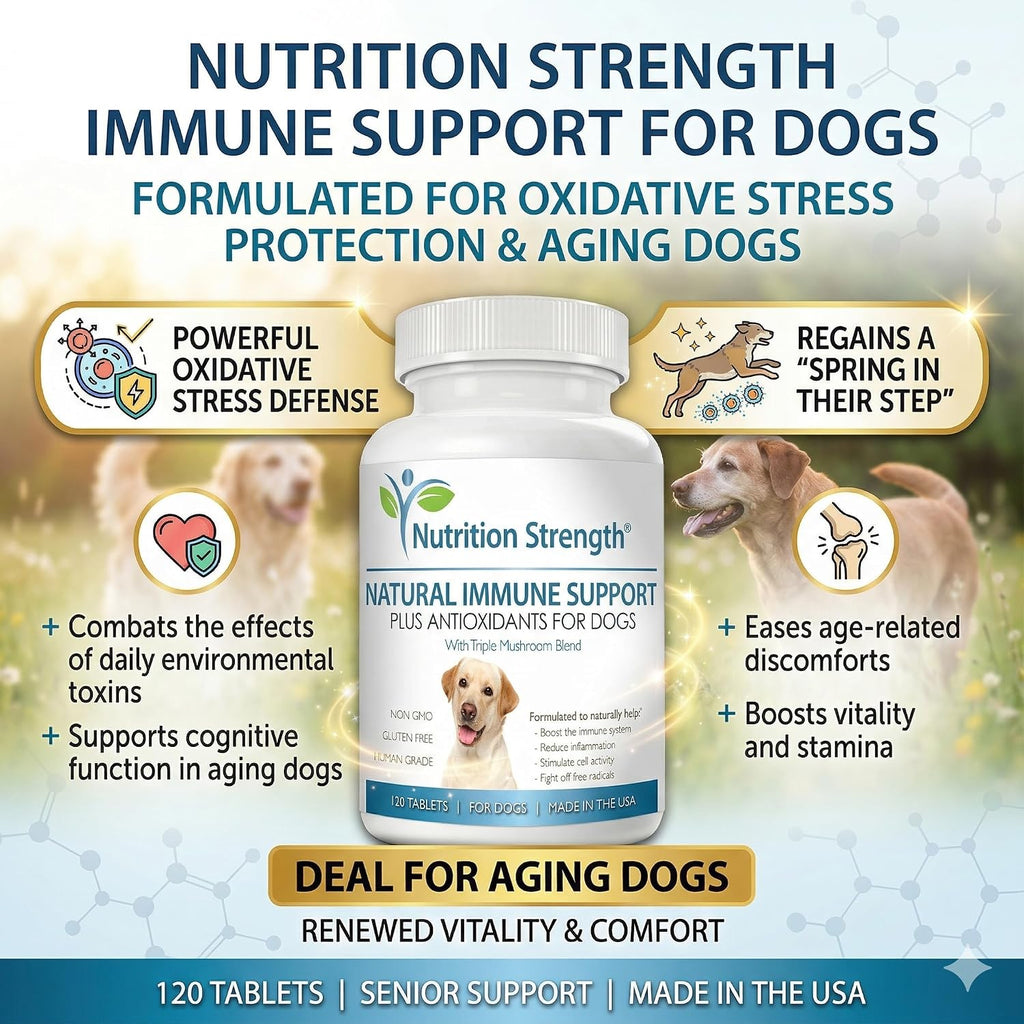 Nutrition Strength Immune Support for Dogs - Turkey Tail, Reishi, Shiitake, Maitake Mushroom Complex - Senior Dog Health - 120 Chewable Tablets
