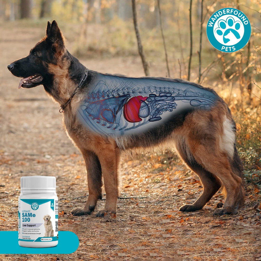Pawsitive SAMe 100 mg para Perros – Complemento Hepático con S-Adenosilmetionina – Sabor a Bacon – 30 Comprimibles