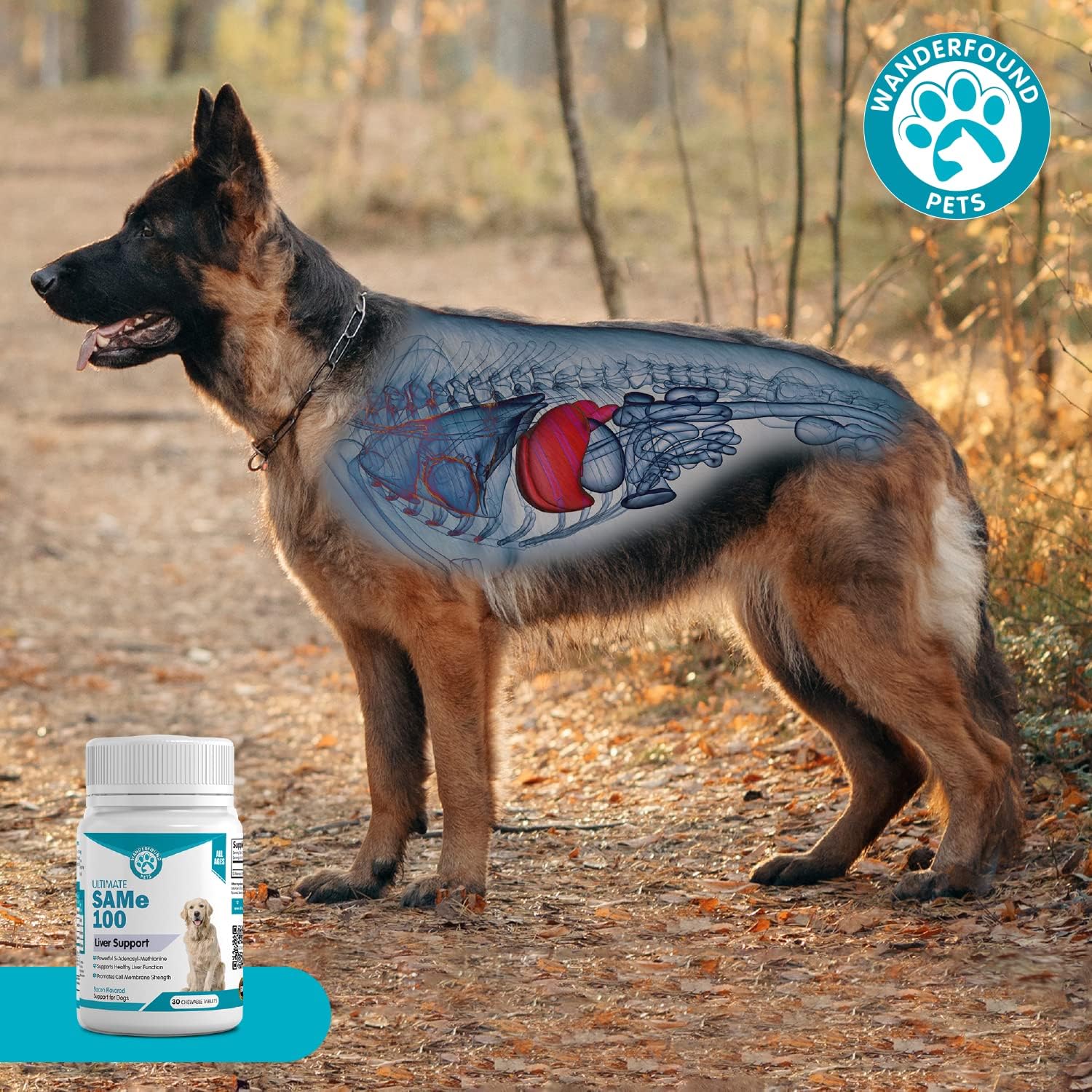 Pawsitive SAMe 100 mg para Perros – Complemento Hepático con S-Adenosilmetionina – Sabor a Bacon – 30 Comprimibles