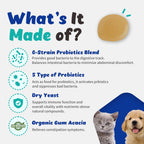 Branvine Probióticos Líquidos para Perros y Gatos - 6 Cepas con Prebióticos (60 ml)