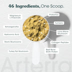 Complemento Alimenticio en Polvo para Perros Adultos – Longevidad Diaria – 46 Ingredientes para Salud Intestinal, Inmune y Cognitiva – 30 Dosis