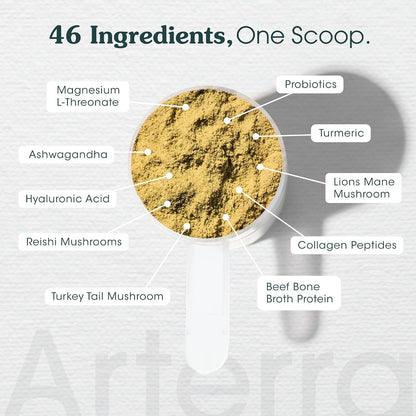 Complemento Alimenticio en Polvo para Perros Adultos – Longevidad Diaria – 46 Ingredientes para Salud Intestinal, Inmune y – Image 5