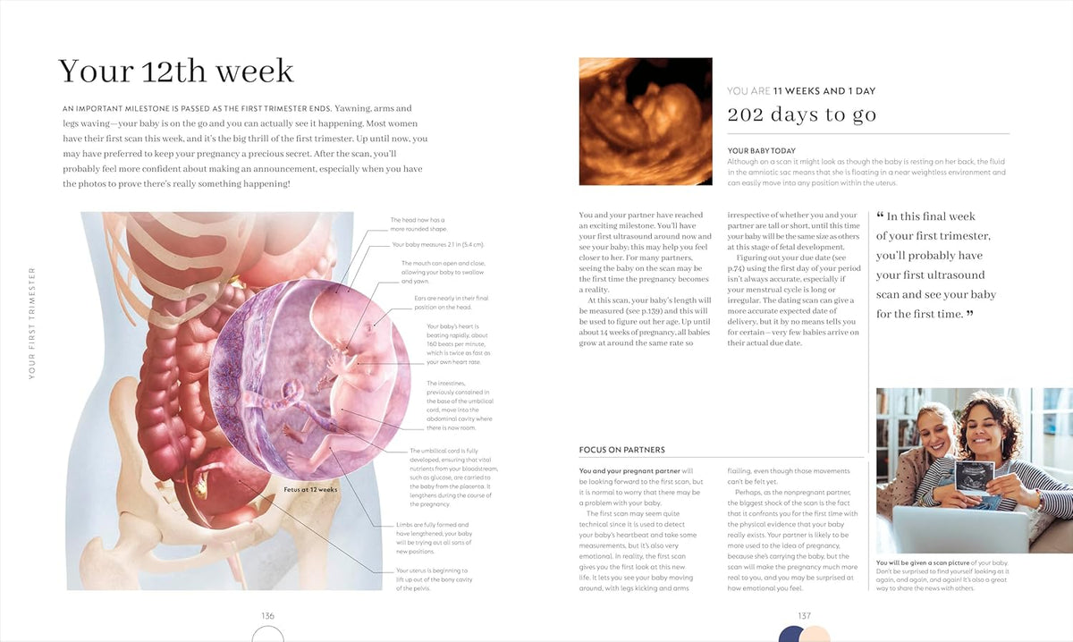 Pregnancy Day by Day: Count Down Your Pregnancy Day by Day with Advice from a Team of Experts – Image 5