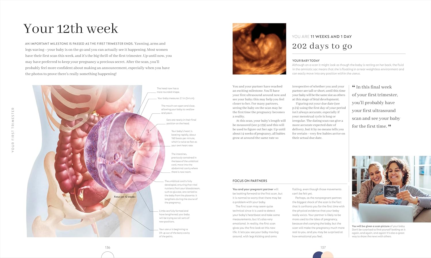 Pregnancy Day by Day: Count Down Your Pregnancy Day by Day with Advice from a Team of Experts