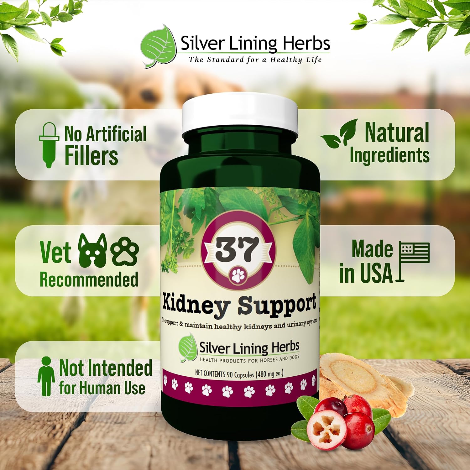 Kidney Support for Dogs – Canine Herbal Supplement for Kidneys and Bladder – 90 Capsules