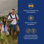 Puritan's Pride DHEA 50 mg - 100 Comprimidos