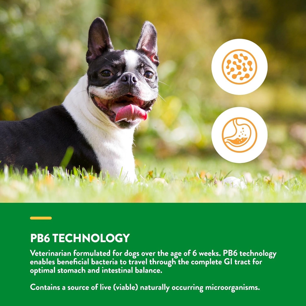 NaturVet Probióticos y Enzimas Avanzados PB6 - Masticables Blandos para Perros - Sabor Bacon Ahumado - 70 Unidades