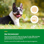 NaturVet Probióticos y Enzimas Avanzados PB6 - Masticables Blandos para Perros - Sabor Bacon Ahumado - 70 Unidades