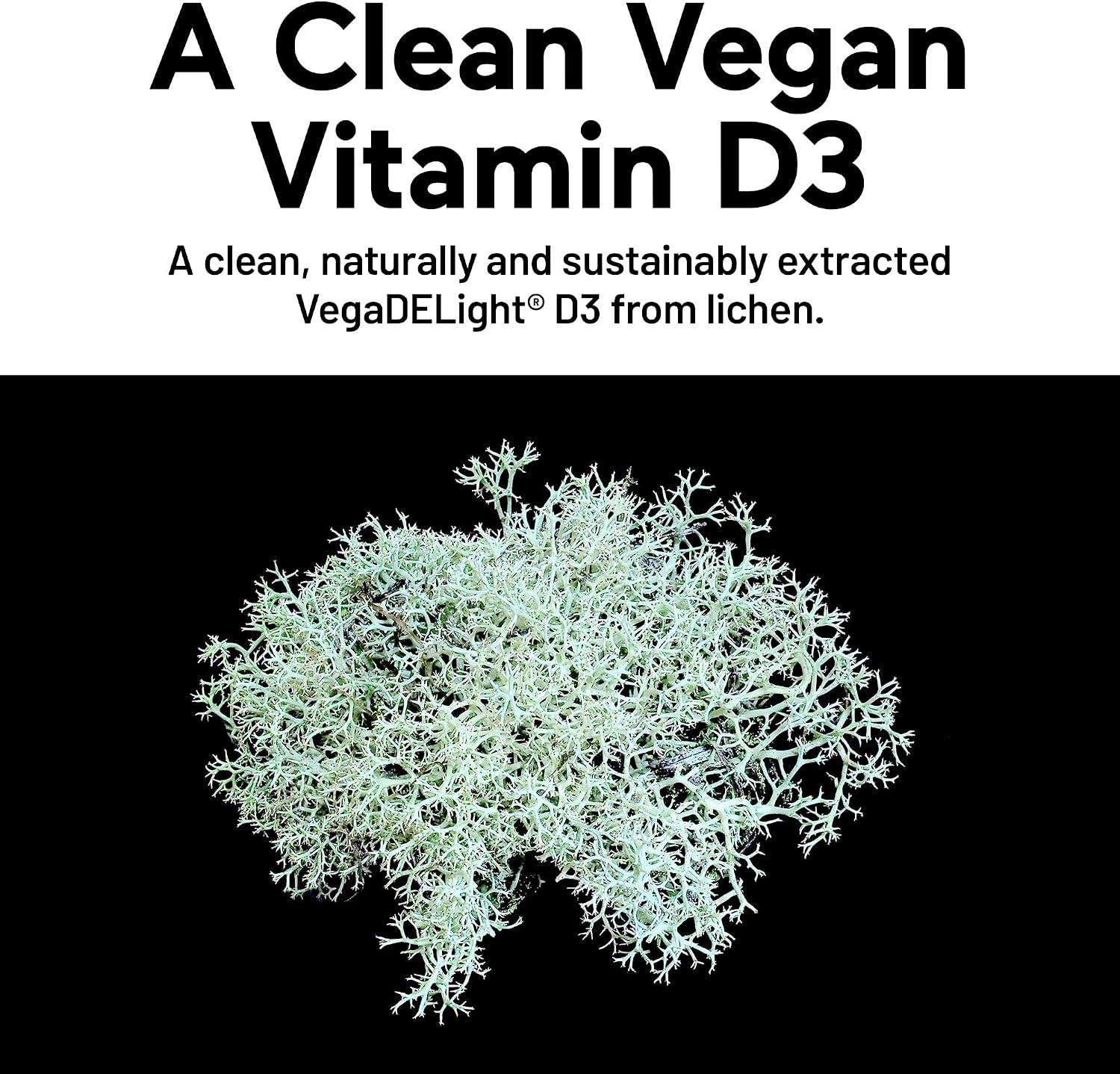 Vitamina D3 5000 UI + K2 1100 mcg con Aceite de Coco y Oliva Ecológico - 180 Cápsulas Blandas