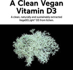 SMARTERNUTRITION Vitamina D3 5000 UI + K2 MK-7 1100 mcg Vegano - 60 Cápsulas Blandas