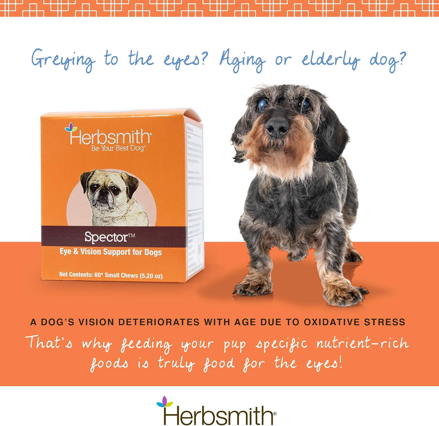 Herbsmith Spector – Apoyo Ocular y Visión para Perros – 60 masticables pequeños