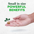 Greenies Suplementos blandos 8-en-1 Multi-Beneficio para perros, sabor pollo, 40 unidades