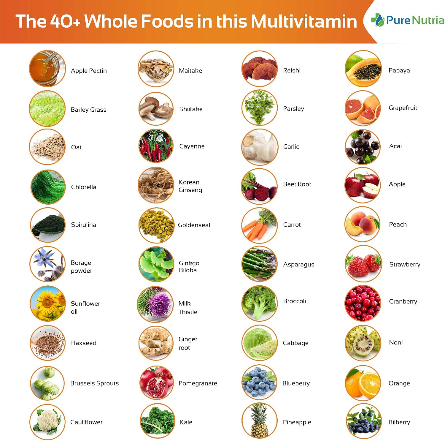 Whole Food Multivitamin with Probiotics and Enzymes - 120 Capsules for Women and Men