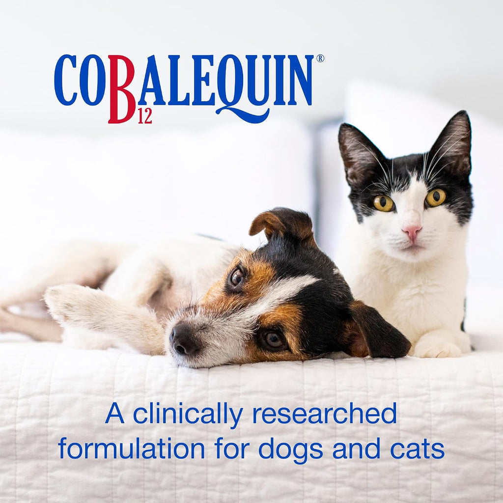 Nutramax Cobalequin B12 para Perros y Gatos, Suplemento Oral de Cobalamina con Folato, Vitamina B12 para Perros Menos de 10 kg y Gatos, Apoya la Salud Gastrointestinal, Comprimidos Masticables, 45 Unidades