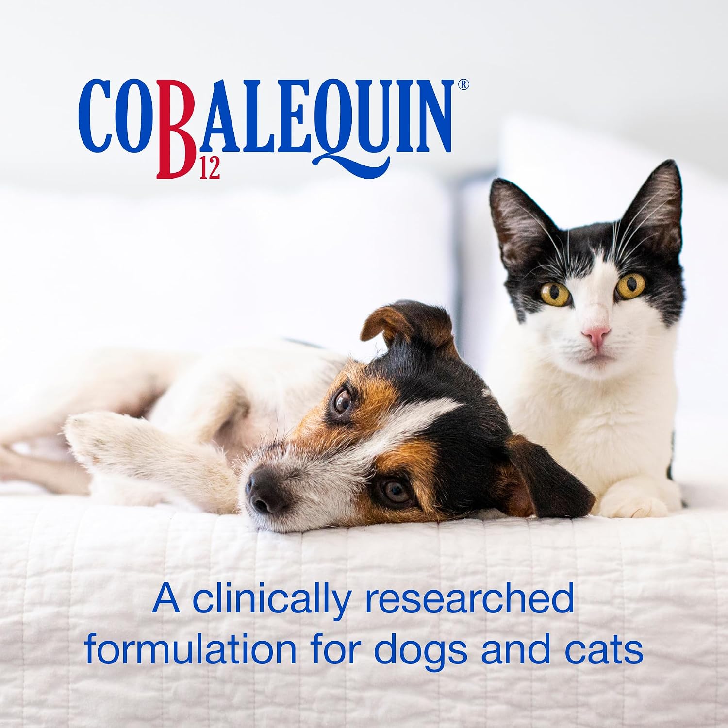 Nutramax Cobalequin B12 para Perros y Gatos, Suplemento Oral de Cobalamina con Folato, Vitamina B12 para Perros Menos de 10 kg y Gatos, Apoya la Salud Gastrointestinal, Comprimidos Masticables, 45 Unidades