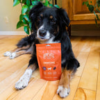 Hemp Well - Apoyo Inmunológico y Alergias para Perros - 30 Chicles Blandos Orgánicos