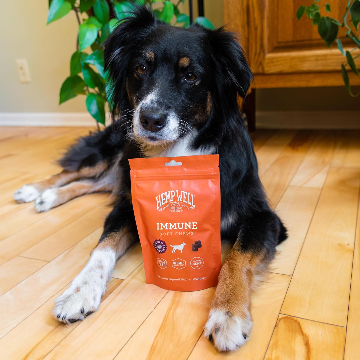 Hemp Well - Apoyo Inmunológico y Alergias para Perros - 30 Chicles Blandos Orgánicos – Image 6